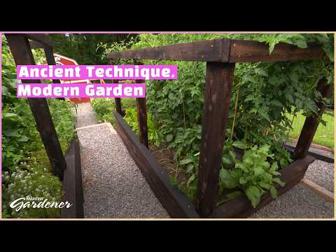Raised Beds Using Shou Sugi Ban Wood Preservation | Volunteer Gardener