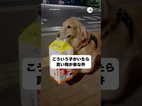 猫の動画サムネイル - トイレットペーパー持ってくれるの助かる〜｜PECO