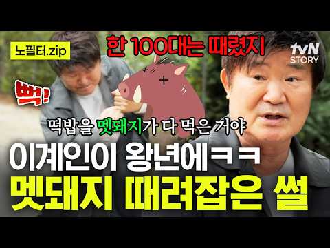 멧돼지와 맞짱도 불사한 왕년의 <strong>이계인</strong>🐗 떡밥 먹으러 왔다가 100대 맞고 간 멧돼지의 웃픈 최후🤣 #회장님네사람들