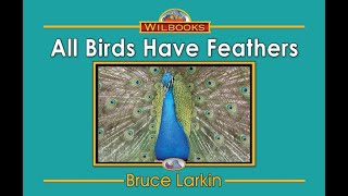 All Birds Have Feathers 