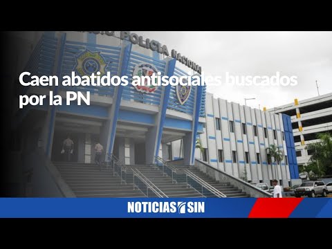 Delincuentes perseguidos por la PN caen abatidos