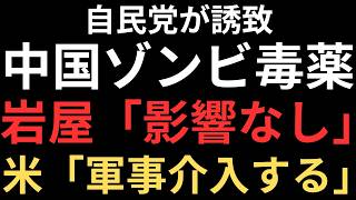 岩屋毅が合成麻薬フェンタニルの影響なしと発言