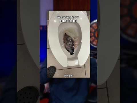 Every Janitor’s Worst Nightmare 💀