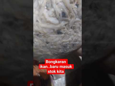 #jualan  #ikanteri #terimedan #terinasi #aktifitasiburumahtangga #happy