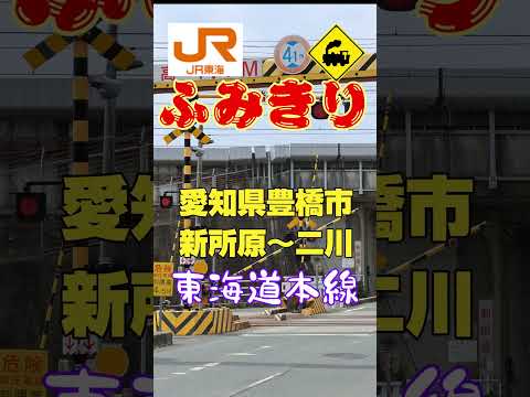 🐯虎柄ガード下!東海道新幹線の下を貨物列車と電車が駆け抜ける踏切🚆#踏切 #JR東海道本線 #JR東海 #東海道新幹線 #貨物列車 #豊橋市 #愛知県 #鉄道 #RailroadCrossing