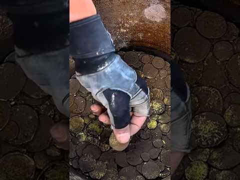 Gold 🪙! 🤑🤑🤑