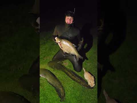 вот это аппетит