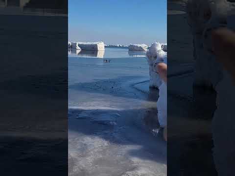 Drone Froze and Crashed on Ice! | ¡Dron Congelado Se Estrelló! | 无人机冻坠冰面!