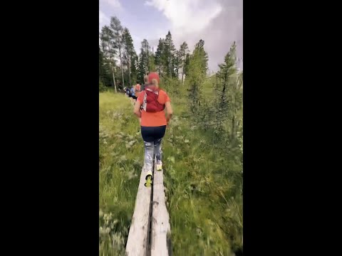 Kia Fjällmaraton 2025: Följ med på 8K.