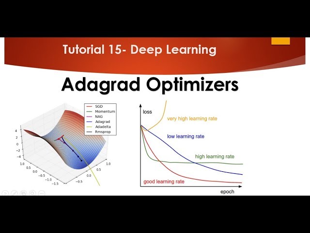 TensorFlow Adagrad: What You Need to Know