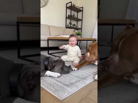 Baby and his dog #dogshorts #cute #wildlife