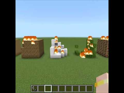猫の動画サムネイル - 【マインクラフト】一番燃えるのは次の中からどれ？