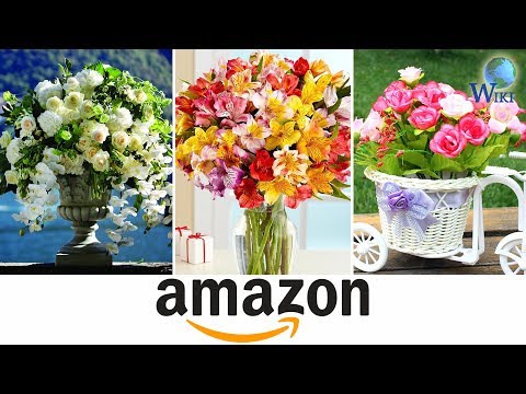 Amazon Flowers: 5 Fast Facts - UCXAHpX2xDhmjqtA-ANgsGmw