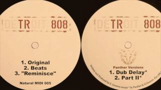 Scott Grooves - Detroit 808 (Dub Delay Panther Version) (HQ)