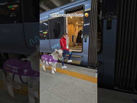 응??저기 계란이 있다고?!🦄🚅Is there an egg in it?🧐🐣