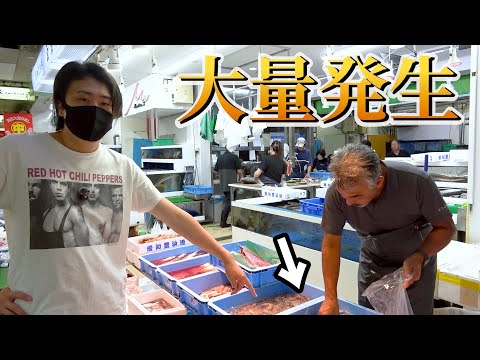 【9月オススメ】今、この魚は絶対食べてください！※サンマでは無いです。