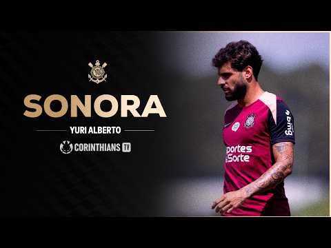 image para ilustrar o artigo