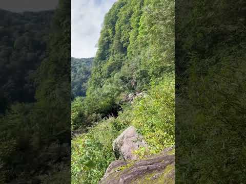 ngày 23 tháng 10, 2025