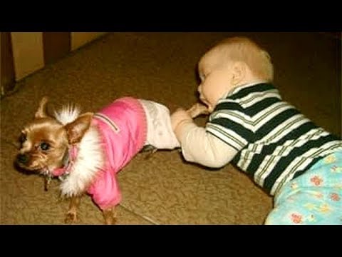 Wanna SCREAM WITH LAUGHTER? - Funny KIDS vs PETS VIDEOS will take care of this! - UCKy3MG7_If9KlVuvw3rPMfw