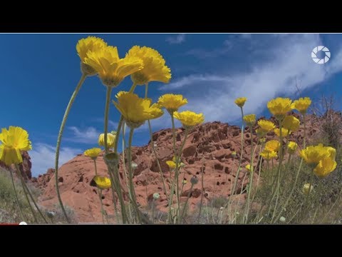 Fish-Eye Lens: You Keep Shooting with Bryan Peterson: Adorama Photography TV - UC8Pksdbj37CdE00kmE7Z1dw