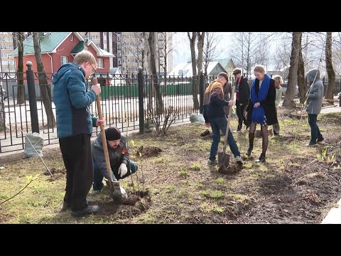 В преддверии Дня Победы сыктывкарские гимназисты присоединились к акции «Сад памяти»