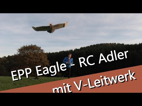 EPP Eagle - ferngesteuerter Adler mit V- Leitwerk - UCNWVhopT5VjgRdDspxW2IYQ