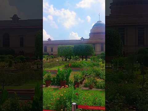 Amrit Udyan, Rashtrapati Bhavan. #shorts #amritudyan #rashtrapatibhawan #delhi