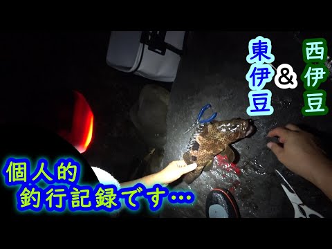 【東伊豆・西伊豆】個人的釣行記録動画（熱海・土肥）【2025年10月中旬・下旬】