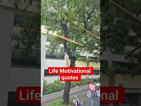 LIFE MOTIVATIONAL QUOTES #OFWHONGKONG #PINOYOFWBUHAYOFW #HIGHLIGHTSEVERYONEFOLLOWERS2025