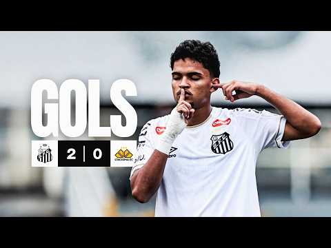 image para ilustrar o artigo