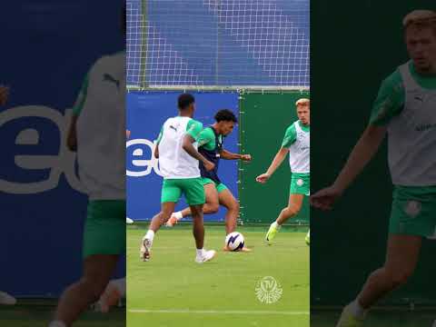 image para ilustrar o artigo