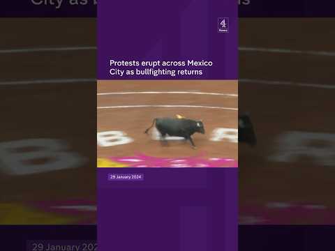 Bullfighting returns to Mexico as protests erupt