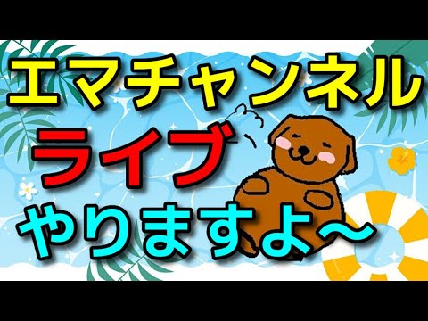 【犬 暑さ対策】みんな教えて！愛犬の暑さ対策を共有しよう♪犬のしつけエマチャンネル＠横浜しつけ教室