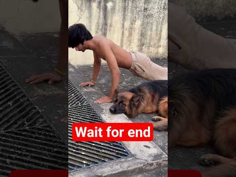 maintenance calories weight gain  #shorts #short #youtubeshortsvideo #musclegain #trending #popular