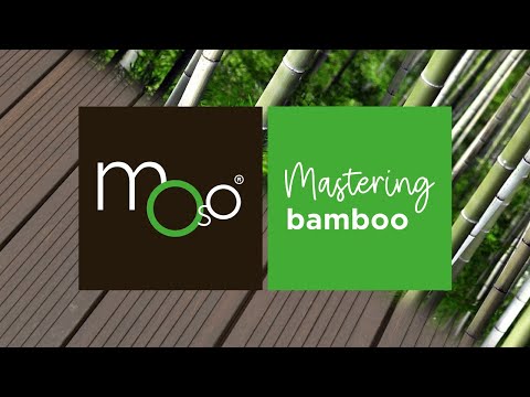 MOSO Bamboo X-treme Production | de la canne de bambou au produit