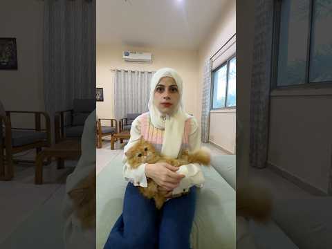 سيدة السيوف والطبيبة المعجزة فلم كوري😂😂 ام سيف ونانو