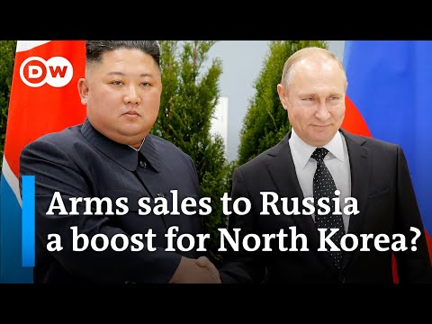 North Korea's growing economy: Arms sales to Russia a special boost? | DW News
