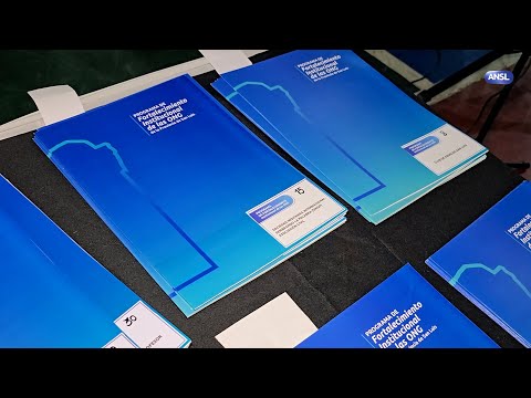 Testimonios de beneficiarios de créditos de ONG