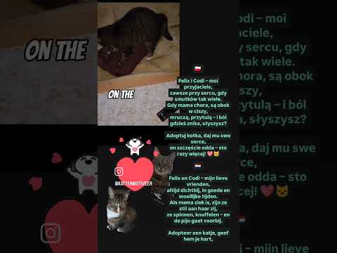 🐾Felix en Codi – mijn lieve vrienden,altijd dichtbij, in goede .. #dc #felix #codi #schattig