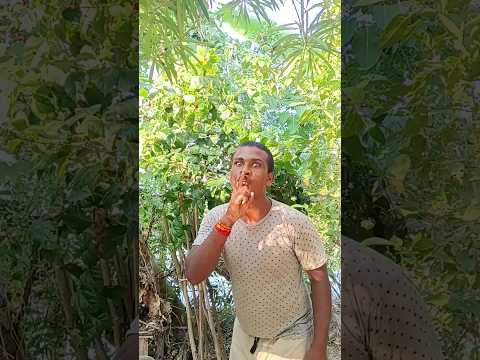 Surely you can't do this#camping #survival #bushcraft #outdoors#shorts👀😜😃🌿😁