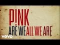MV เพลง Are We All We Are - Pink