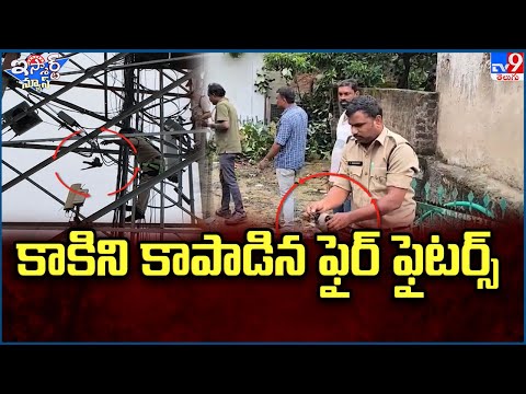 iSmart News : కాకిని కాపాడిన ఫైర్ ఫైటర్స్‌  | Fire Fighters save a Crow - TV9