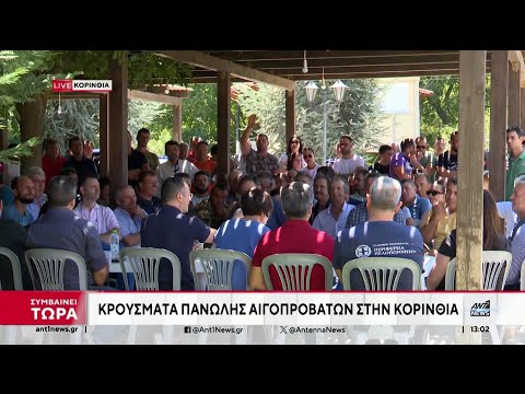 Πανώλη: «Συναγερμός» στην Πελοπόννησο μετά το κρούσμα στην Κορινθία