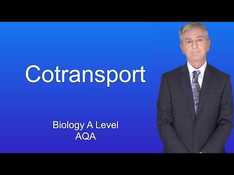 A Level Biology Revision “Cotransport (AQA)”