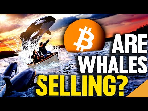 Bitcoin Whales Making BIG Moves! (Time To Sell?)