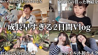 動画サムネイル