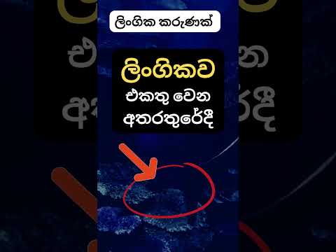 හම්බෝ ඒකනම් මරු 😍😍. #shorts #education #facts