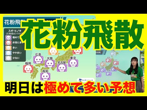 【花粉飛散】今日は非常に多い予想・明日は