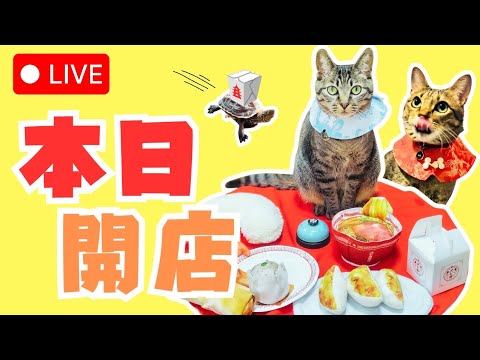 本日開店！猫とカメの中華屋さん（※スケボー配達員1名）【Now Open: Cat & Turtle Chinese Diner (Skateboard Delivery Available)】
