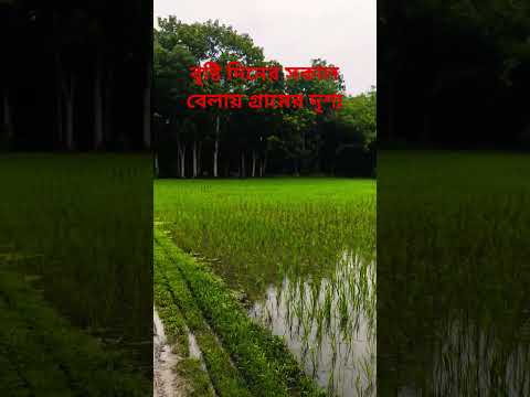 বাগিচায় বুলবুলি তুই!#trandingshorts #trendingreels #viralshorts #virasong #viralvideos #villagelife